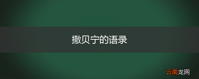 撒贝宁的语录