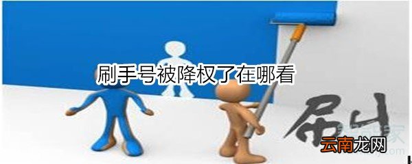 刷手号被降权了在哪看
