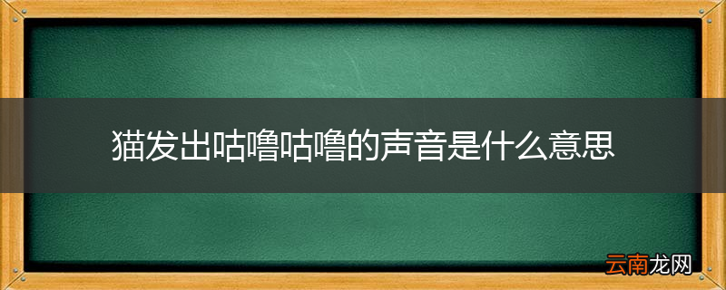 猫发出咕噜咕噜的声音是什么意思
