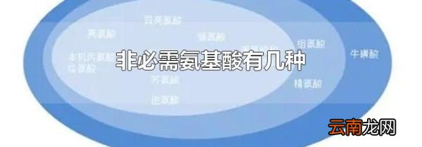 非必需氨基酸有几种