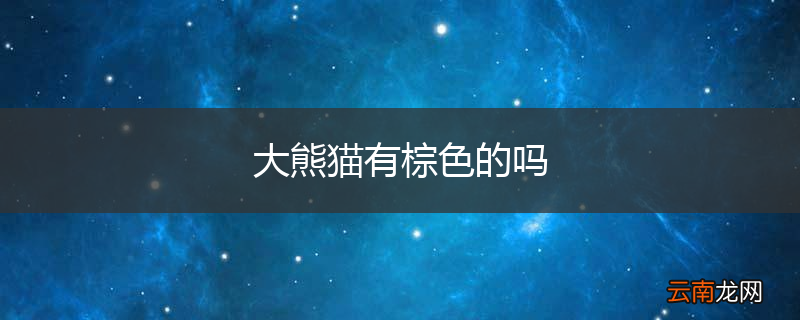 大熊猫有棕色的吗