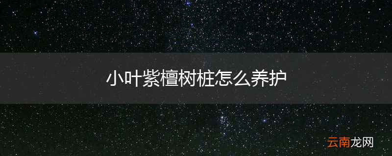 小叶紫檀树桩怎么养护