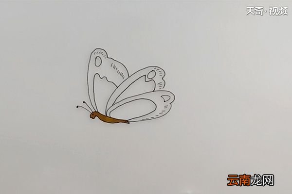 简笔画蝴蝶