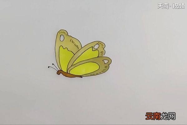 简笔画蝴蝶