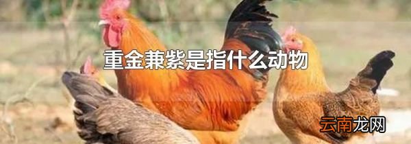 重金兼紫是指什么动物