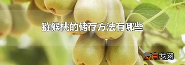 猕猴桃的储存方法有哪些