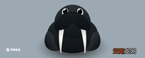 那种动物是海洋中的瞌睡大王 海洋中的瞌睡大王是什么动物