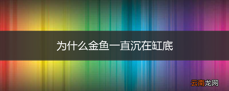 为什么金鱼一直沉在缸底