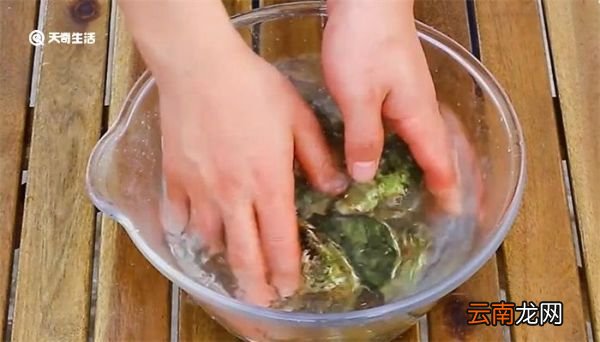 生蚝怎么清洗内脏图解 生蚝如何清洗内脏
