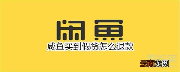 咸鱼买到假货怎么退款
