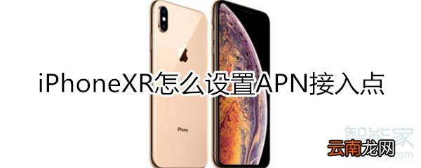 iphonexr设置apn