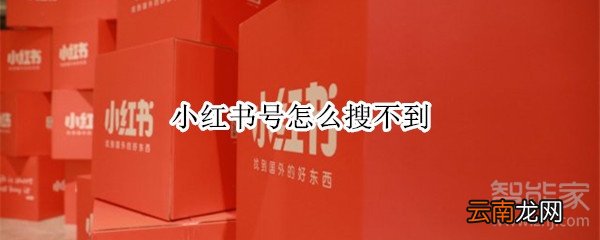 小红书号怎么搜不到