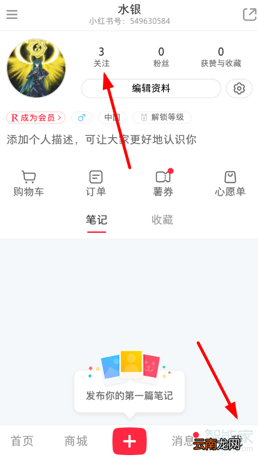 小红书号怎么搜不到
