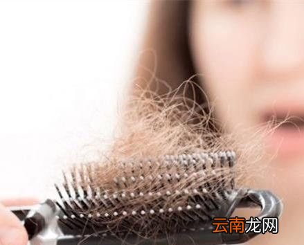 每天掉多少头发算正常？