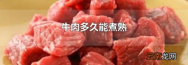 牛肉多久能煮熟