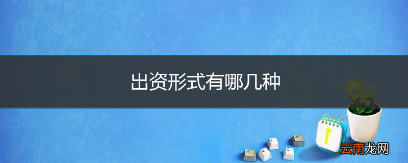 出资形式有哪几种