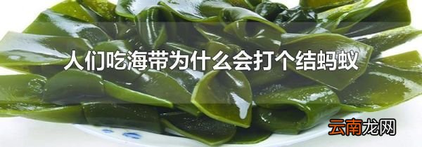 人们吃海带为什么会打个结蚂蚁