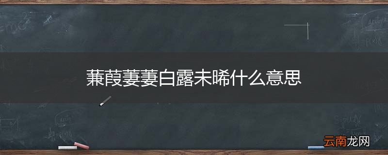 蒹葭萋萋白露未晞什么意思