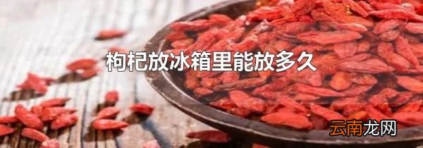 枸杞放冰箱里能放多久
