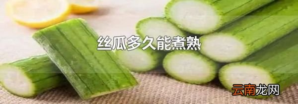 丝瓜多久能煮熟