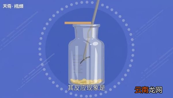 镁在二氧化碳中燃烧的化学方程式 镁在二氧化碳中燃烧的现象