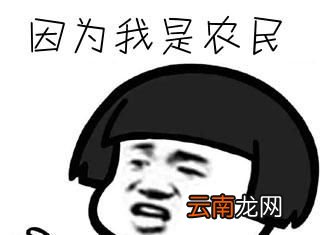 龙鸣是什么梗？