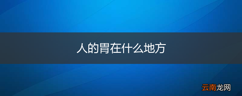 人的胃在什么地方