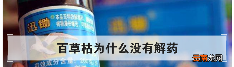 百草枯为什么没有解药