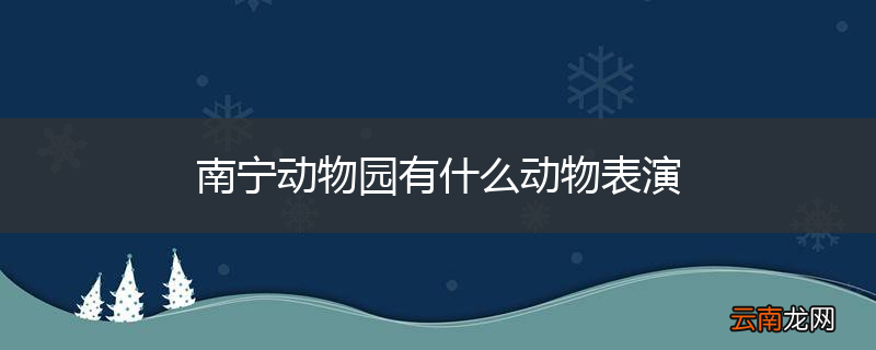 南宁动物园有什么动物表演