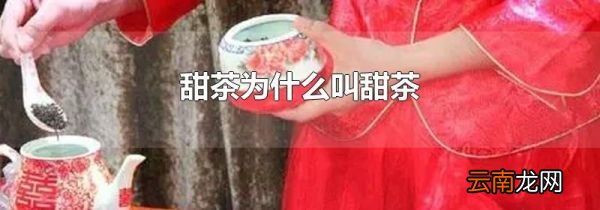 甜茶为什么叫甜茶