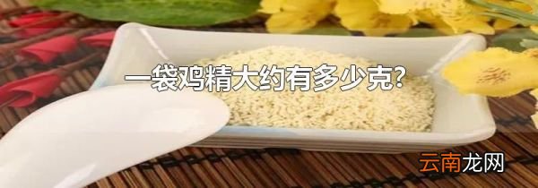 一袋鸡精大约有多少克?