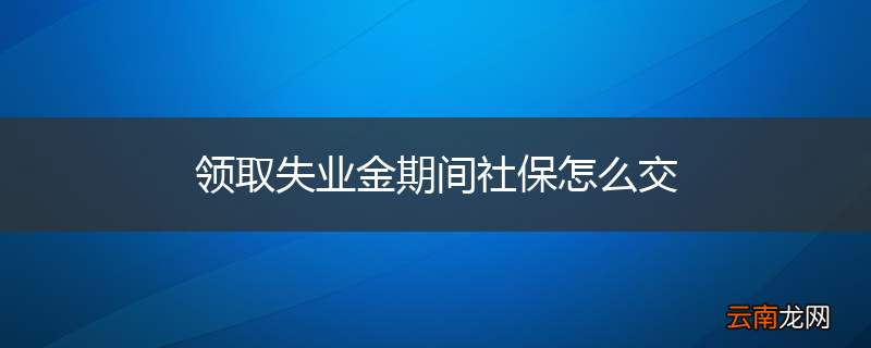 领取失业金期间社保怎么交