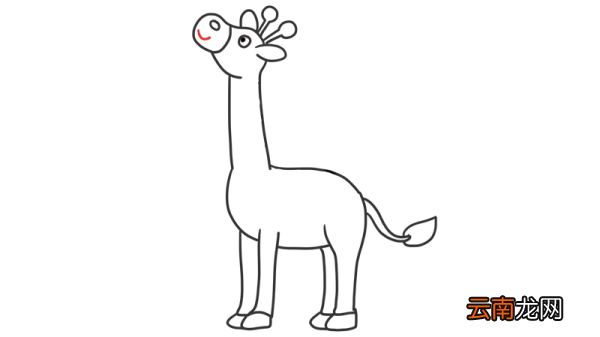 线描动物画 线描动物画简笔画