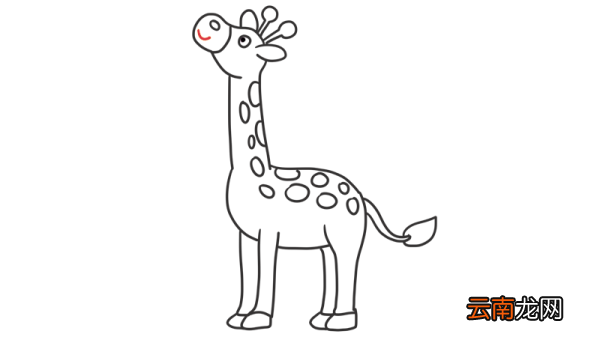线描动物画 线描动物画简笔画