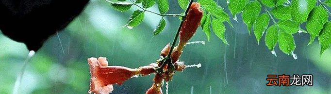 为什么有春雨贵如油，又有清明时节雨纷纷？