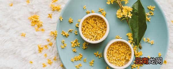 桂花的功效与作用用法 桂花的功效与作用