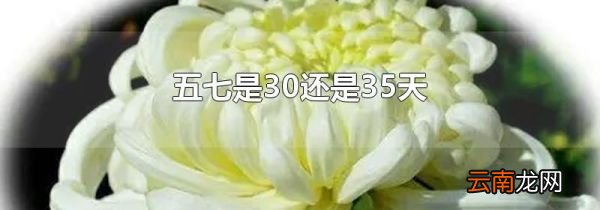 五七是30还是35天