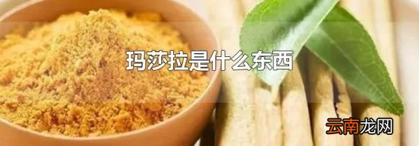 玛莎拉是什么东西
