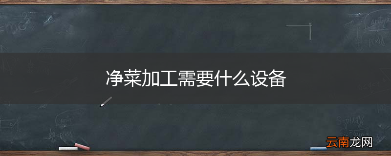 净菜加工需要什么设备