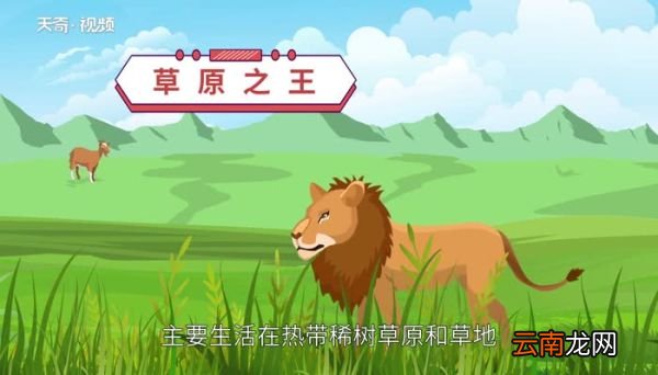 老虎和狮子谁厉害 老虎为什么怕狮子