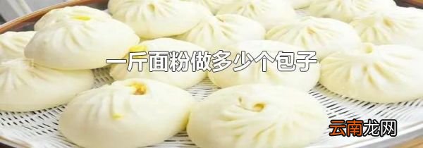一斤面粉做多少个包子