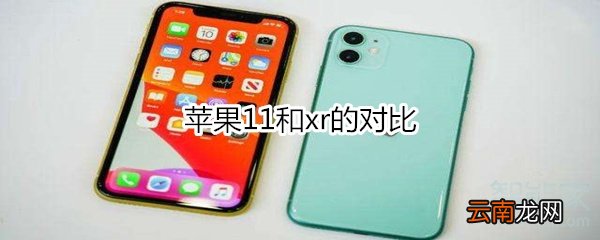 苹果11和xr的对比
