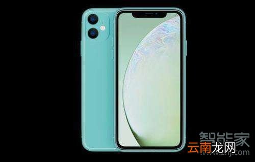 苹果11和xr的对比