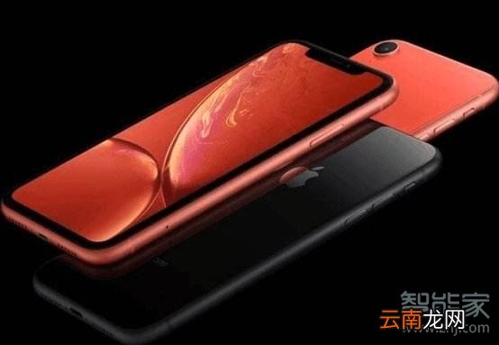 苹果11和xr的对比