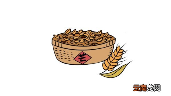 芒种简笔画画法芒种简笔画教程