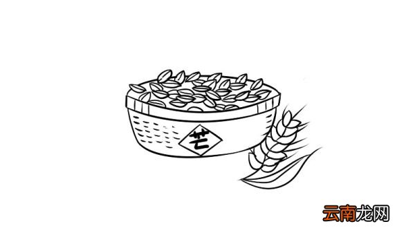 芒种简笔画画法芒种简笔画教程