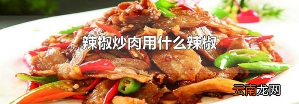 辣椒炒肉用什么辣椒