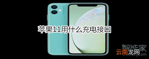 苹果11用什么充电接口