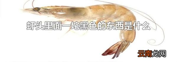 虾头里面一坨黑色的东西是什么