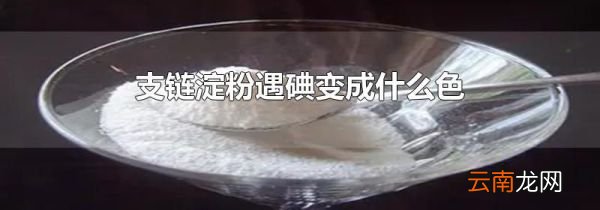 支链淀粉遇碘变成什么色